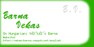 barna vekas business card